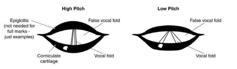 File:Pitch diagram.jpg